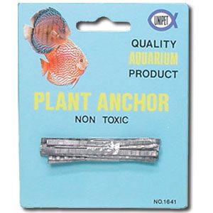 Plant Anchor (lead) Card/12