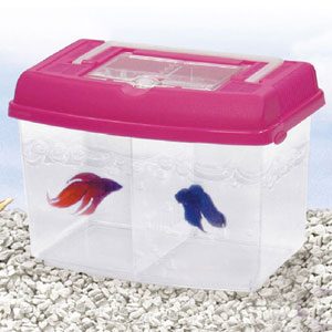 Twin Bowl Betta Tank With Carry Lid