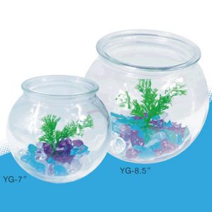 Glass Fish Bowl  7