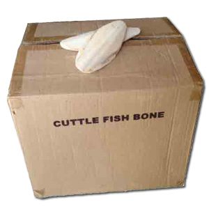 5kg A Grade Cuttlebone Fully Trimmed