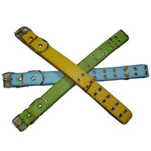 Leather Dog Collar (24hole) 2.5 X 56cm Blue