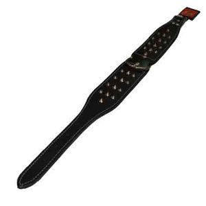 Leather Studded Collar with Centre D-ring 50mm X 60cm