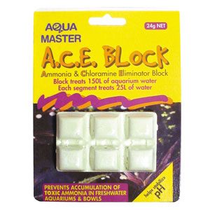 A.C.E. Block Card of 6 24g