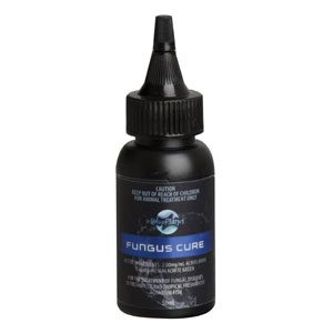 Fungus 50ml