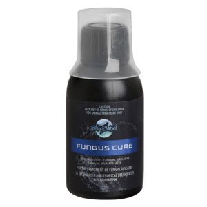 Fungus 125ml