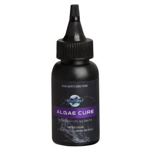 Algae Cure 50ml