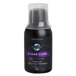 Algae Cure 125ml