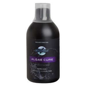 Algae Cure 500ml
