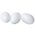 Plastic Poultry Egg