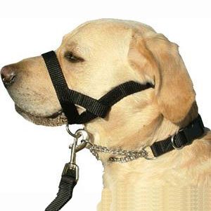 Kumfi Dog Head Halter Small