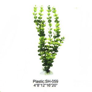 12" Bacopa (plastic)