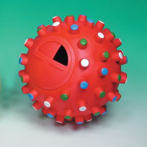 Activity Treat Ball  Medium