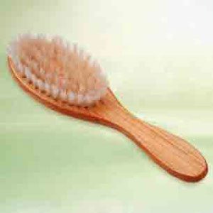 Cat Brush