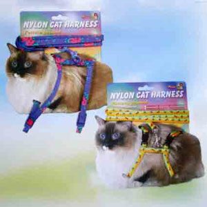 Nylon Cat Harness & Lead Carded  11"