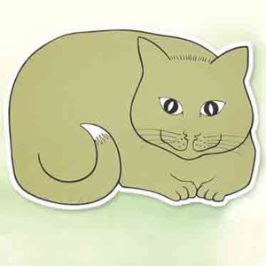 Pvc Place Mat For Cats