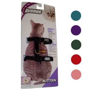 Kitten Harness Nylon / Card - Red