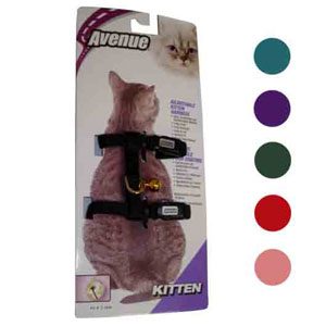 Kitten Harness Nylon / Card - Lt. Blue