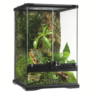 Exo Terra All Glass Terrarium - 12 X 12 X 18"