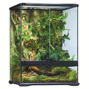 Exo Terra All Glass Terrarium - 18 X 18 X 24"