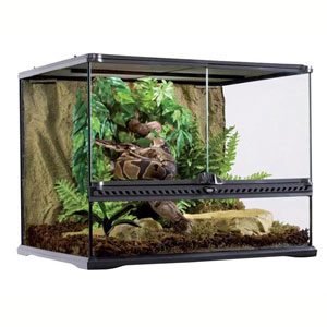 Exo Terra All Glass Terrarium - 24 X 18 X 18"