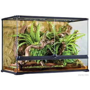 Exo Terra All Glass Terrarium - 36 X 18 X 18"