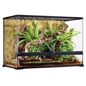 Exo Terra All Glass Terrarium - 36 X 18 X 24"