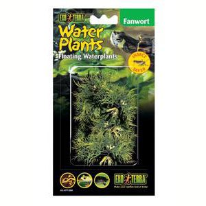 Exo Terra Floating Plant - Fanwort