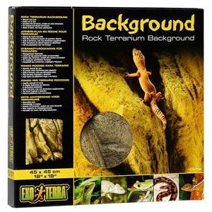 Rock Terrarium Background - 18 X 18"