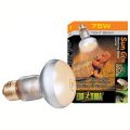 Day Glo Basking Spot Lamp - 75w