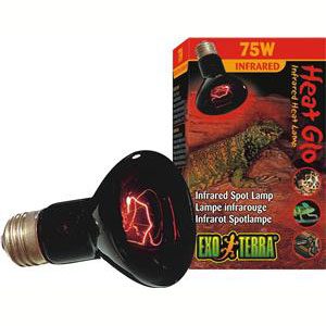 Heat Glo Infrared Heat Lamp - 75w