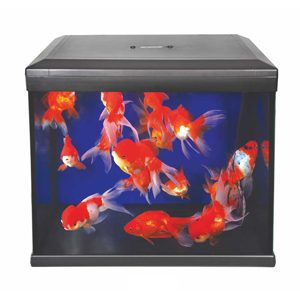 Nano Aquarium 30L Includes LED Color Enhancer light and Filter