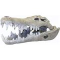 Ornament - Giant Nile Crocodile Skull (Small)