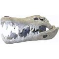 Ornament - Giant Nile Crocodile Skull (Large)