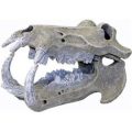 Ornament - Giant Hippopotamus Skull (Small)