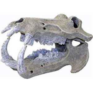 Ornament - Giant Hippopotamus Skull (Small)