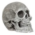 Ornament - Human-Skull (Mini)