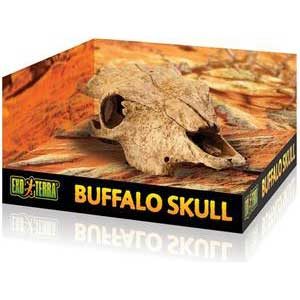 Exo Terra Buffalo Skull - Medium