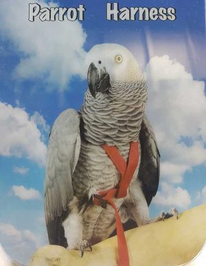 BIRD HARNESS (MEDIUM)